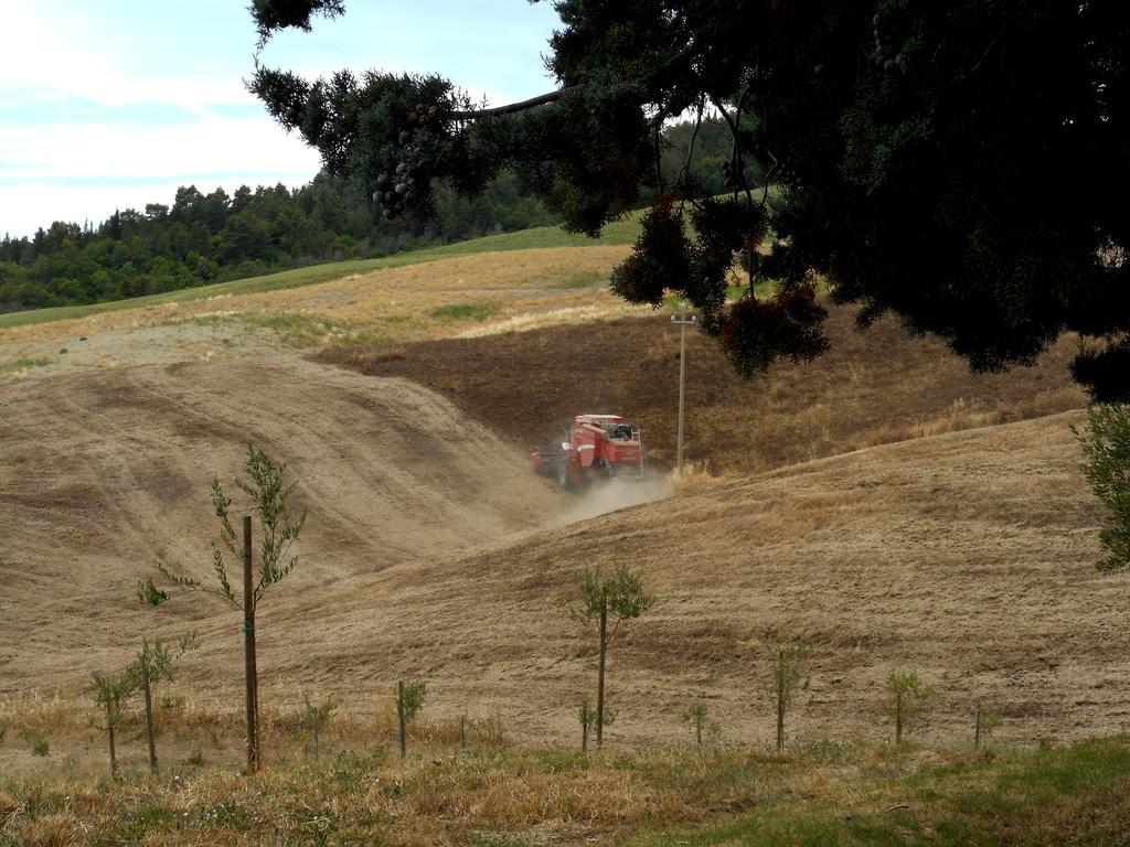 Agriturismo Santa Bruna فولتيرا المظهر الخارجي الصورة