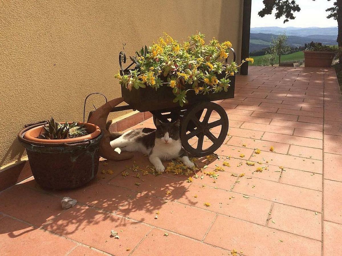 Agriturismo Santa Bruna فولتيرا المظهر الخارجي الصورة