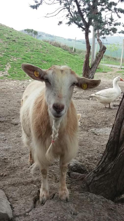 Agriturismo Santa Bruna فولتيرا المظهر الخارجي الصورة